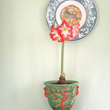 Bonechi Imports Italian Ceramics
