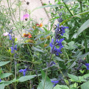 Nancy Smith's photo