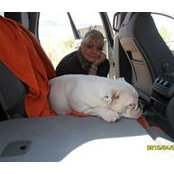 Terry Burroughs's photo