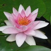 Elizabeth Berge's photo