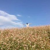 Khiem Kieu's photo