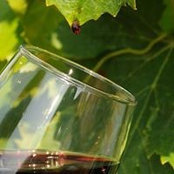 Domaine Des Mathurins's photo