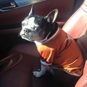 Patricia Avitia's photo