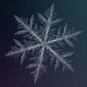 Lisa Lockridge's photo