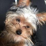 Jill Alt-Hines's photo