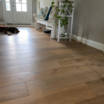 Malbu Oak | Alta Vista Collection | Apex, NC