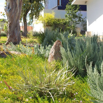 Fremantle Coastal Garden
