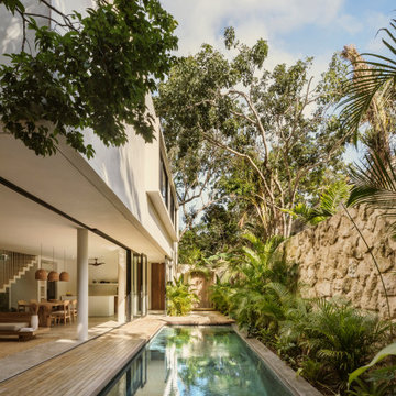 Casa Areca by CO-LAB Design Office