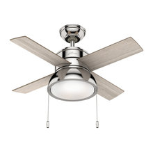 Ceiling Fans