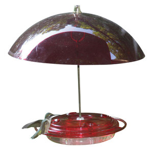 Hummingbird Feeder Kit 8oz Traditional Bird Feeders By Birds