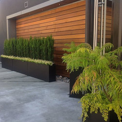 First Impressions... - Outdoor Pots And Planters