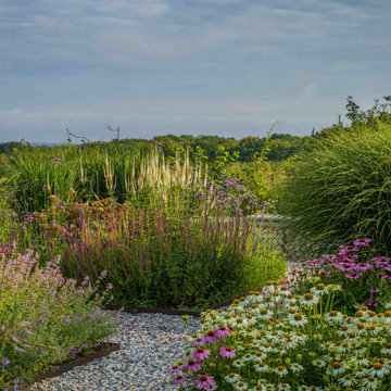 Contemporary Garden With a View