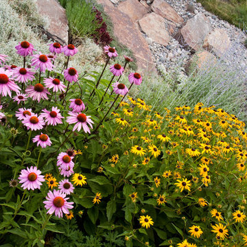 Natural Stone Mountain Landscape