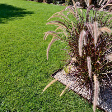 Jardín en la zona norte de Madrid