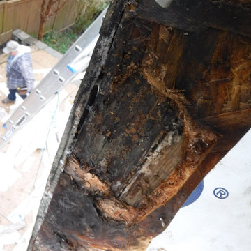 Dry Rot Repair