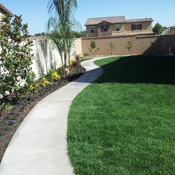 Landscaped Yard with Concrete Walkway and Sod