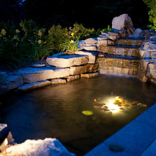 Pond Ideas
