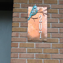 Outside House