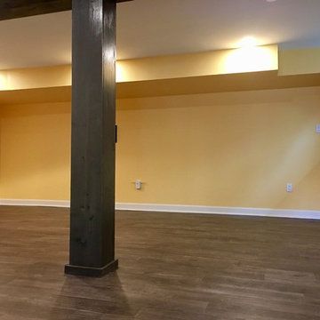 Arlington Basement, Bathroom and Kids Play Area