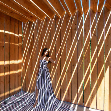 Shadow Barn
