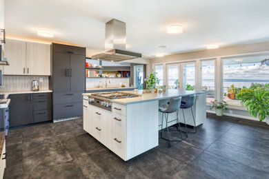 Kitchen - modern kitchen idea in Seattle