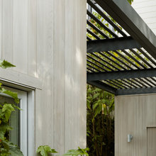 trellis