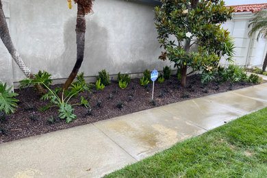 Planters and Gardens