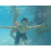 Reid Borgman's photo