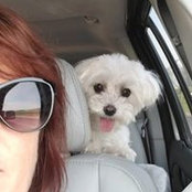 Tricia Albright's photo