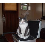 Paulette Perkins's photo