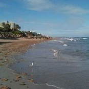 Jason Bain's photo