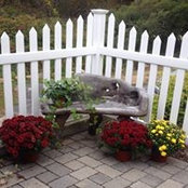 Pamela LeGrow's photo