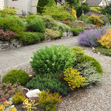 front yard