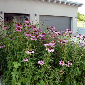 Hausgarten mit Übergang zur Landschaft