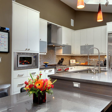 Ultra Modern Kitchen