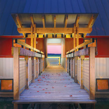 Bridge for Flamingo