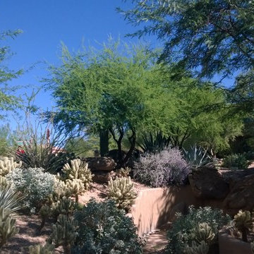 North Scottsdale Residence