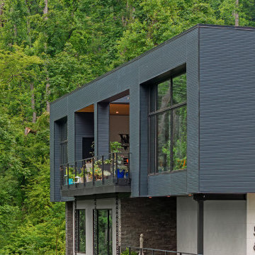 Wandering Oaks Modern