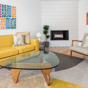 Noe Valley Modern Living Room