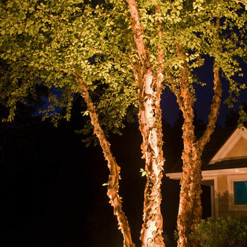 Exterior Lighting