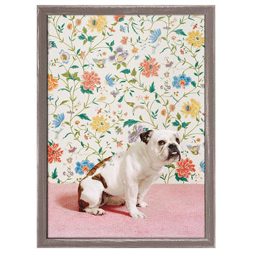 "Dog Collection, Bulldog" Mini Framed Canvas by Catherine Ledner