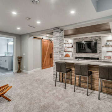 Aspen Basement Development