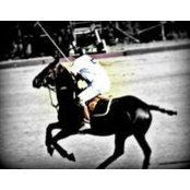 Steve Gilchrist's photo