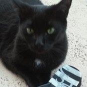 Marie Abrantes's photo