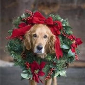 Leah Meisch's photo
