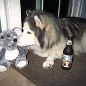 Anna Novitsky's photo