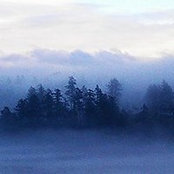Pat Larsen's photo