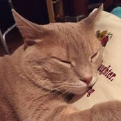 Ruth Karns Rudderow's photo