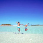 Trang Dang's photo