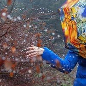 Катерина Дандарова's photo